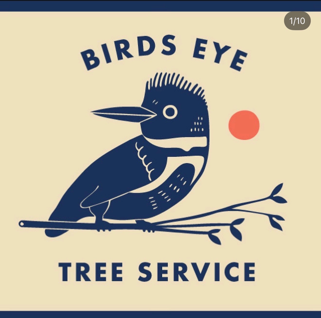 Bird's Eye Tree Service